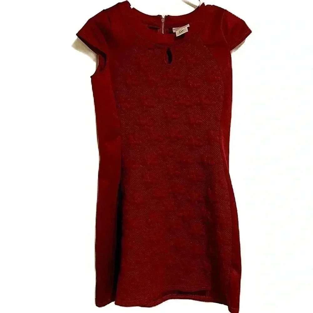 Blush by us Angels Girl’s Mini Dress Maroon Glitter Fabric Sz. 16 (No Belt)